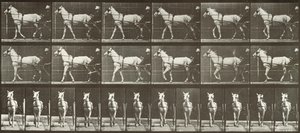 Caminando, sulky, yegua gris claro, Katydid de Eadweard Muybridge